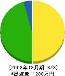 中川造園 貸借対照表 2009年12月期