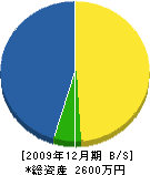 菅谷電気店 貸借対照表 2009年12月期
