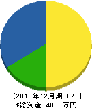 岡島造園 貸借対照表 2010年12月期