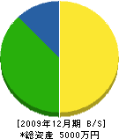 松川組 貸借対照表 2009年12月期