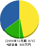 平賀造園 貸借対照表 2009年12月期