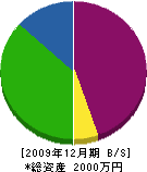 坂野建設 貸借対照表 2009年12月期
