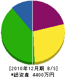 川武タタミ店 貸借対照表 2010年12月期