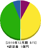 小泉土木建設 貸借対照表 2010年12月期