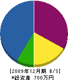 菅原塗装店 貸借対照表 2009年12月期