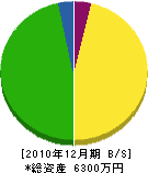 上田組 貸借対照表 2010年12月期