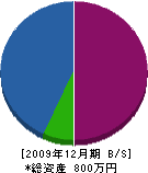 櫻川造園 貸借対照表 2009年12月期