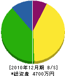 宮坂塗装店 貸借対照表 2010年12月期