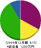 前田表具内装 貸借対照表 2009年12月期