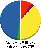 井口燃料店 貸借対照表 2010年12月期