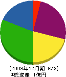 田中建築 貸借対照表 2009年12月期