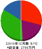 齋藤塗装工業 貸借対照表 2010年12月期