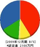 宮川造園 貸借対照表 2009年12月期