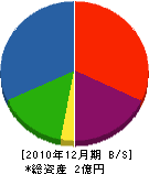 村井鉄工所 貸借対照表 2010年12月期