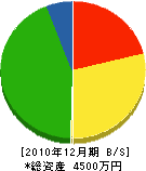 佐藤設備工業 貸借対照表 2010年12月期