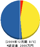 松長樹園 貸借対照表 2009年12月期