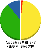 中村桂園 貸借対照表 2009年12月期