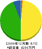 小野豊タタミ店 貸借対照表 2009年12月期