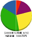 竹内たたみ店 貸借対照表 2009年12月期
