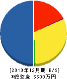 三井鉄工設備 貸借対照表 2010年12月期