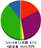 渡辺組 貸借対照表 2010年12月期