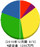 塚越設備 貸借対照表 2010年12月期