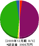 木村技建 貸借対照表 2009年12月期