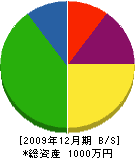 平井電設商会 貸借対照表 2009年12月期