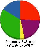 森川電業 貸借対照表 2009年12月期