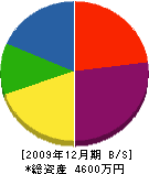 彦田工務店 貸借対照表 2009年12月期