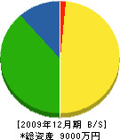 丸山畳店 貸借対照表 2009年12月期