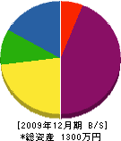 長谷川商店 貸借対照表 2009年12月期