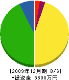 松尾電工 貸借対照表 2009年12月期