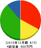 伊井塗装 貸借対照表 2010年12月期