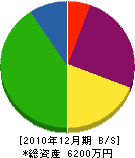 小西電気商会 貸借対照表 2010年12月期