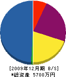 橋本造園 貸借対照表 2009年12月期