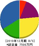 川島組 貸借対照表 2010年12月期