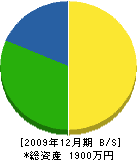 早川総業 貸借対照表 2009年12月期