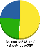 阪上組 貸借対照表 2010年12月期