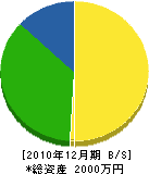盛弘工業所 貸借対照表 2010年12月期