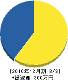 宮﨑建設 貸借対照表 2010年12月期