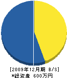 桜田塗装店 貸借対照表 2009年12月期