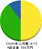 齋藤左官工業 貸借対照表 2009年12月期