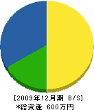 美咲樹総業 貸借対照表 2009年12月期