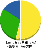 川添電気 貸借対照表 2010年12月期