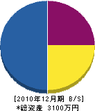 岡本塗装店 貸借対照表 2010年12月期