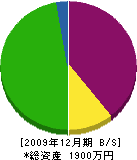 福井組 貸借対照表 2009年12月期