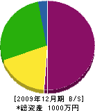 ミヤカワ建設 貸借対照表 2009年12月期