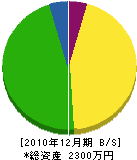 上田管工 貸借対照表 2010年12月期
