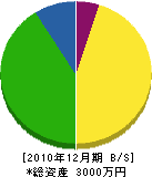 大橋工務店 貸借対照表 2010年12月期